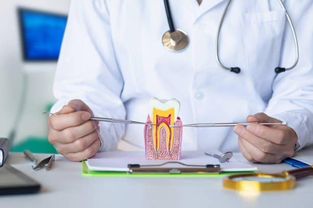 Best Same-Day Emergency Dental Services in Thompsonville, PA